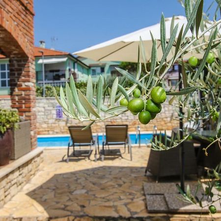 Villa Istriana Jakob With Pool Tar-Vabriga Exterior photo